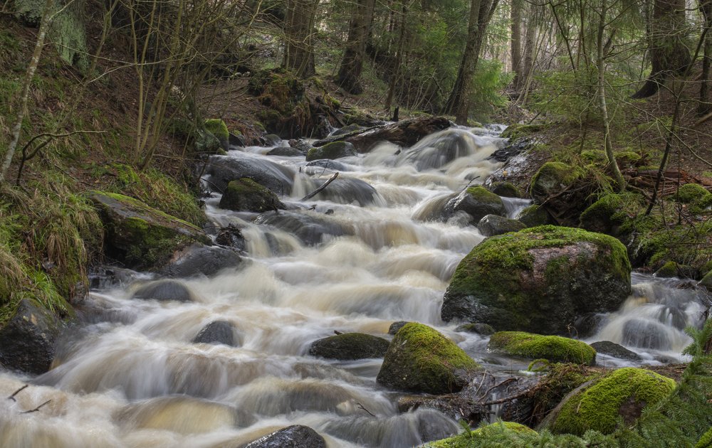 Фотография автора Татьяна Ливеровская