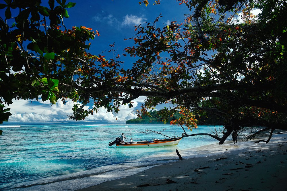 Фотография автора Toshi Maidepa