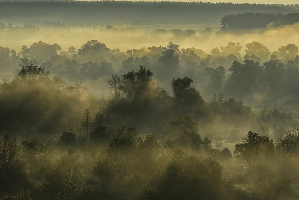 Таинственный туман