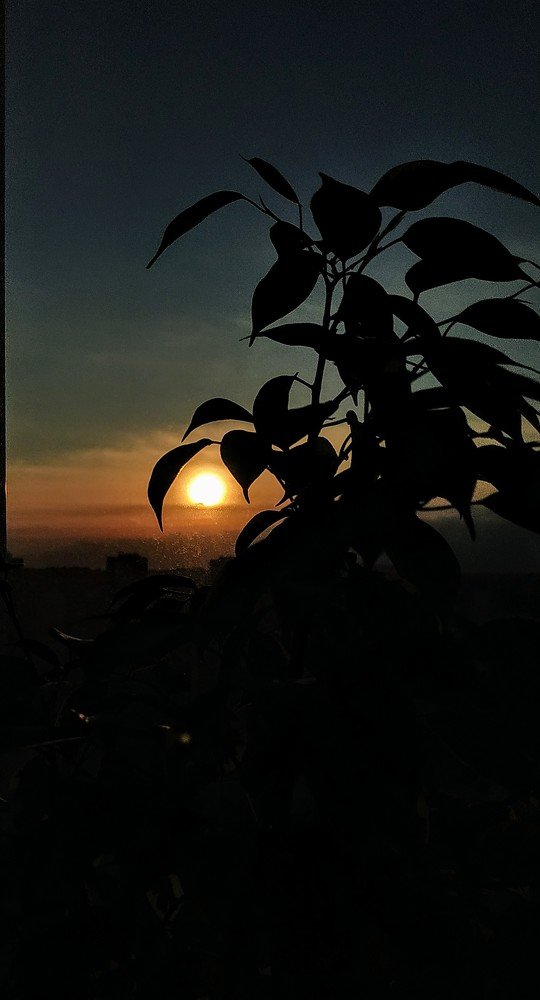 Sun in the city