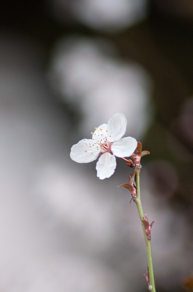 Photograph by Nikitina Tatiana