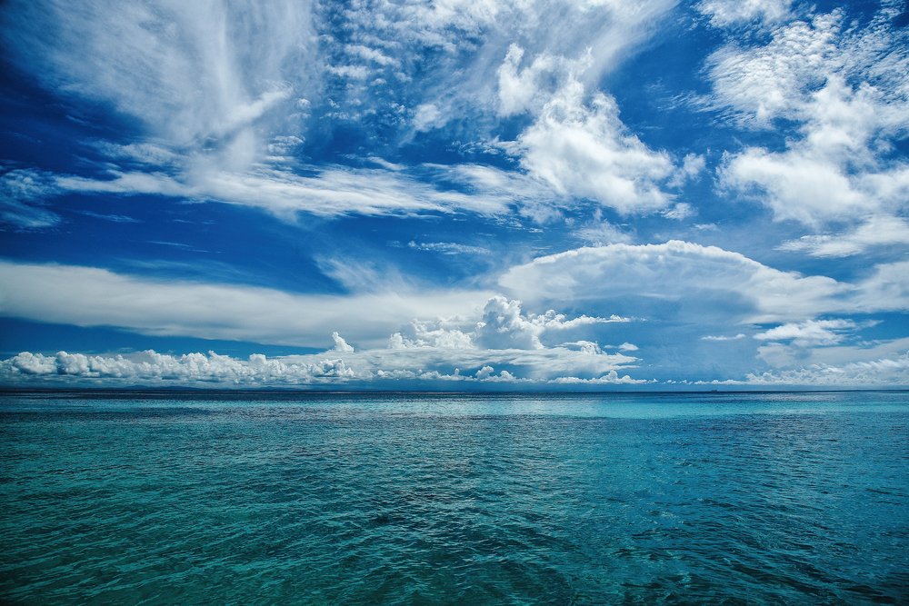 Фотография автора Toshi Maidepa