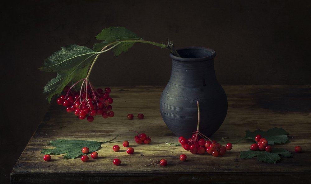 Калина красная