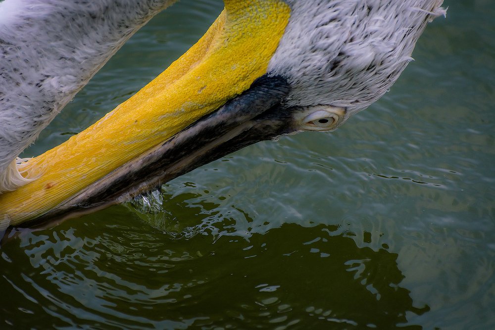 Photograph by Татьяна Зема