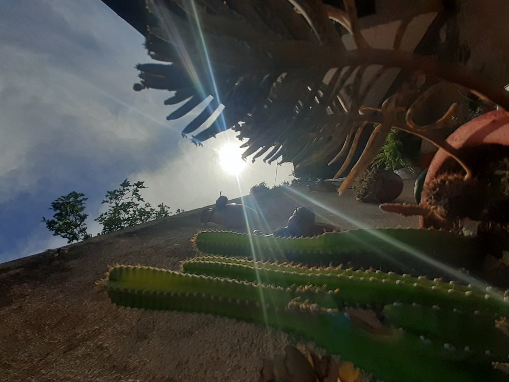 Photo #4463945