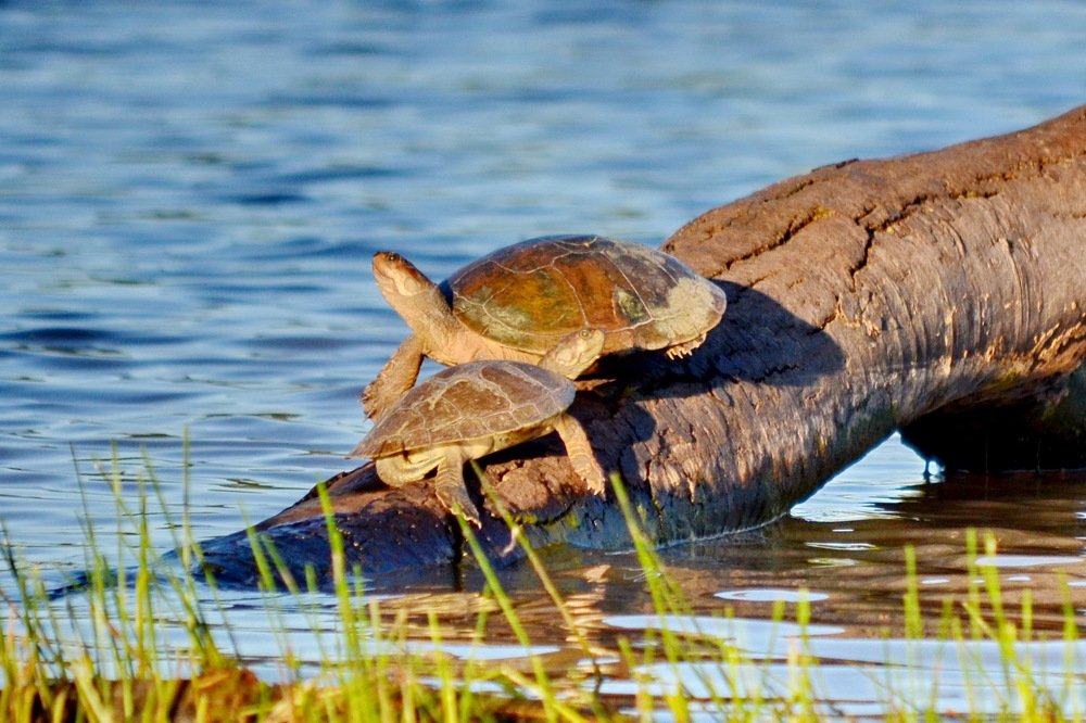 Photograph by Marzio Fattorini
