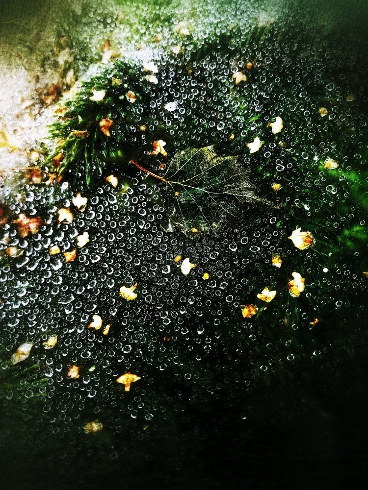 Photograph by Елена Вакумова