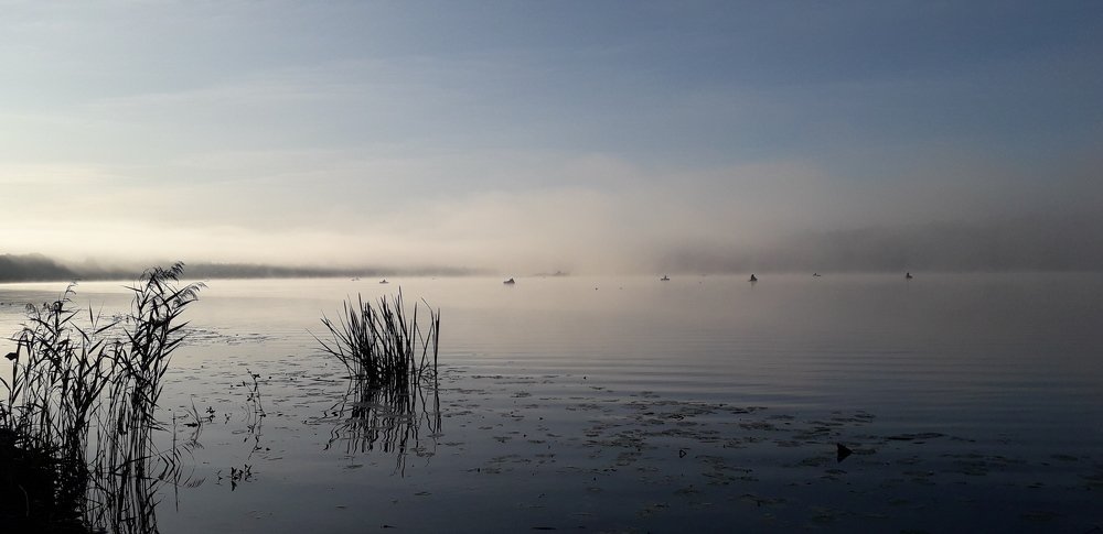 Photograph by Карина Осипова