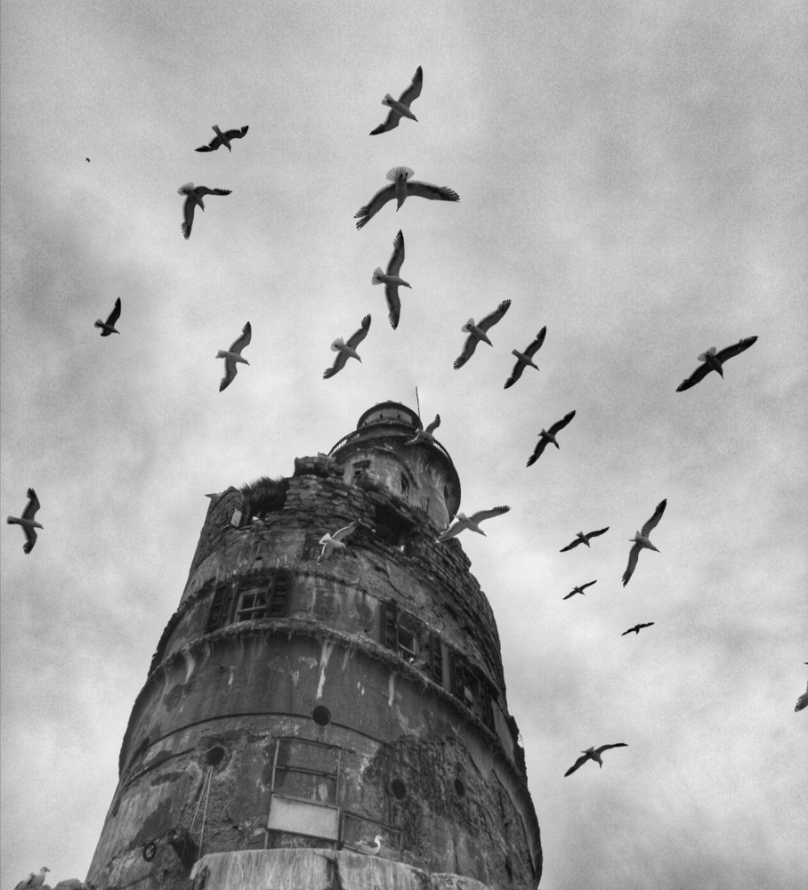 Photograph by Виолетта Беккер