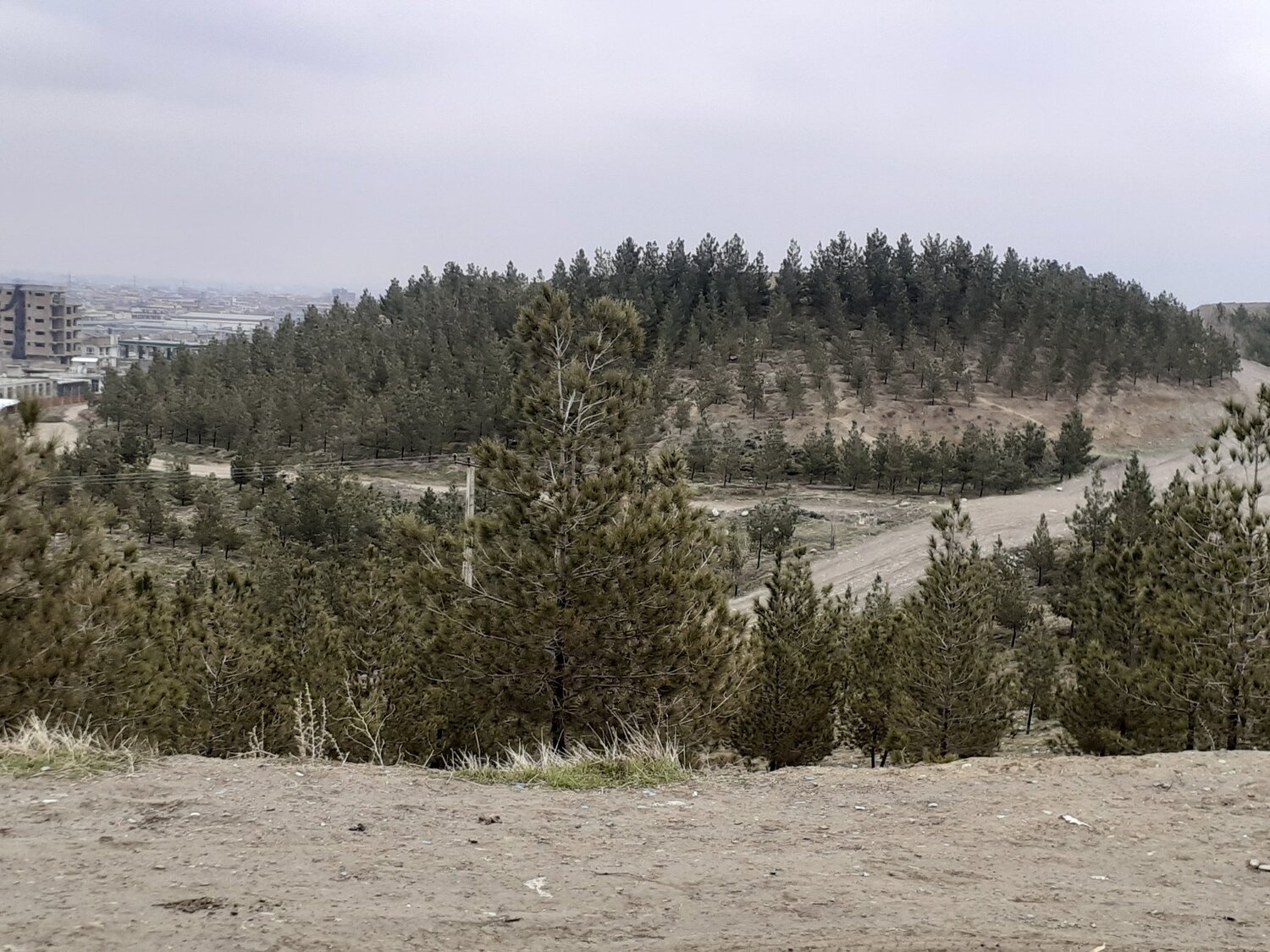 Photo #4464573