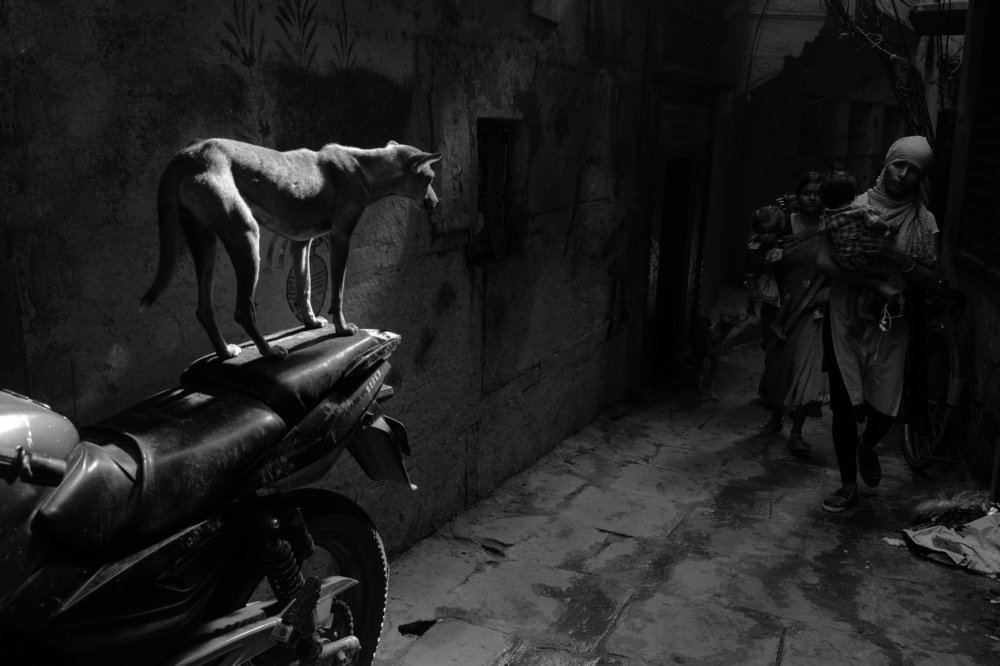 Photograph by Tiwari Rajat