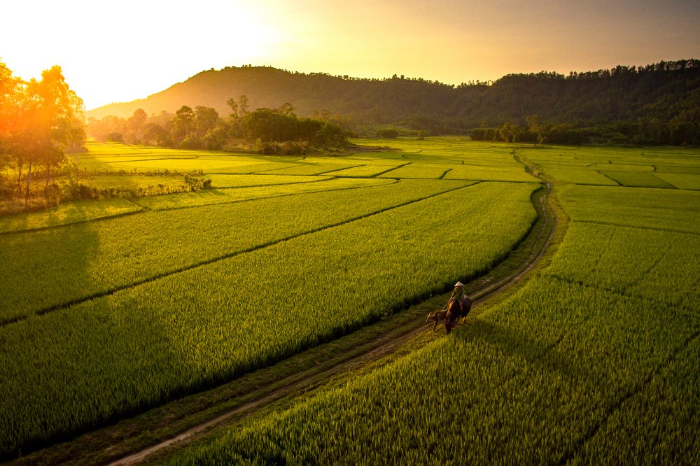 Photograph by Tiến Thịnh Đinh Văn