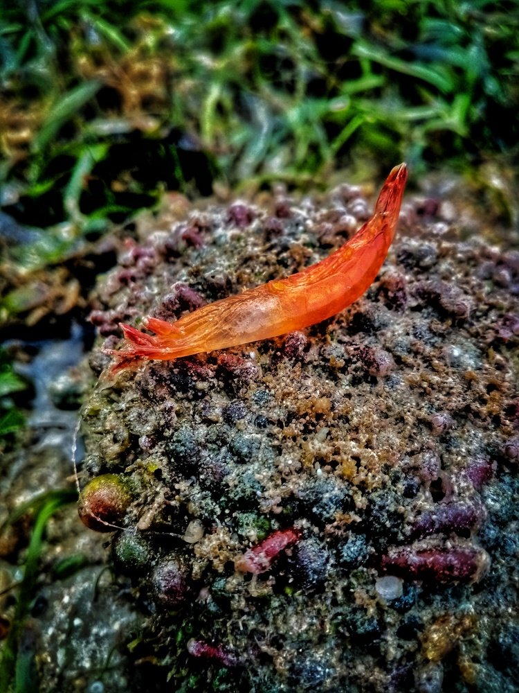 Photograph by John Lester Dionela