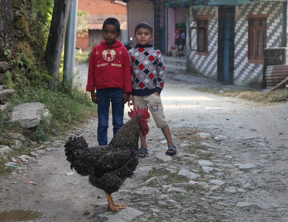 Photograph by Narottam Shrestha