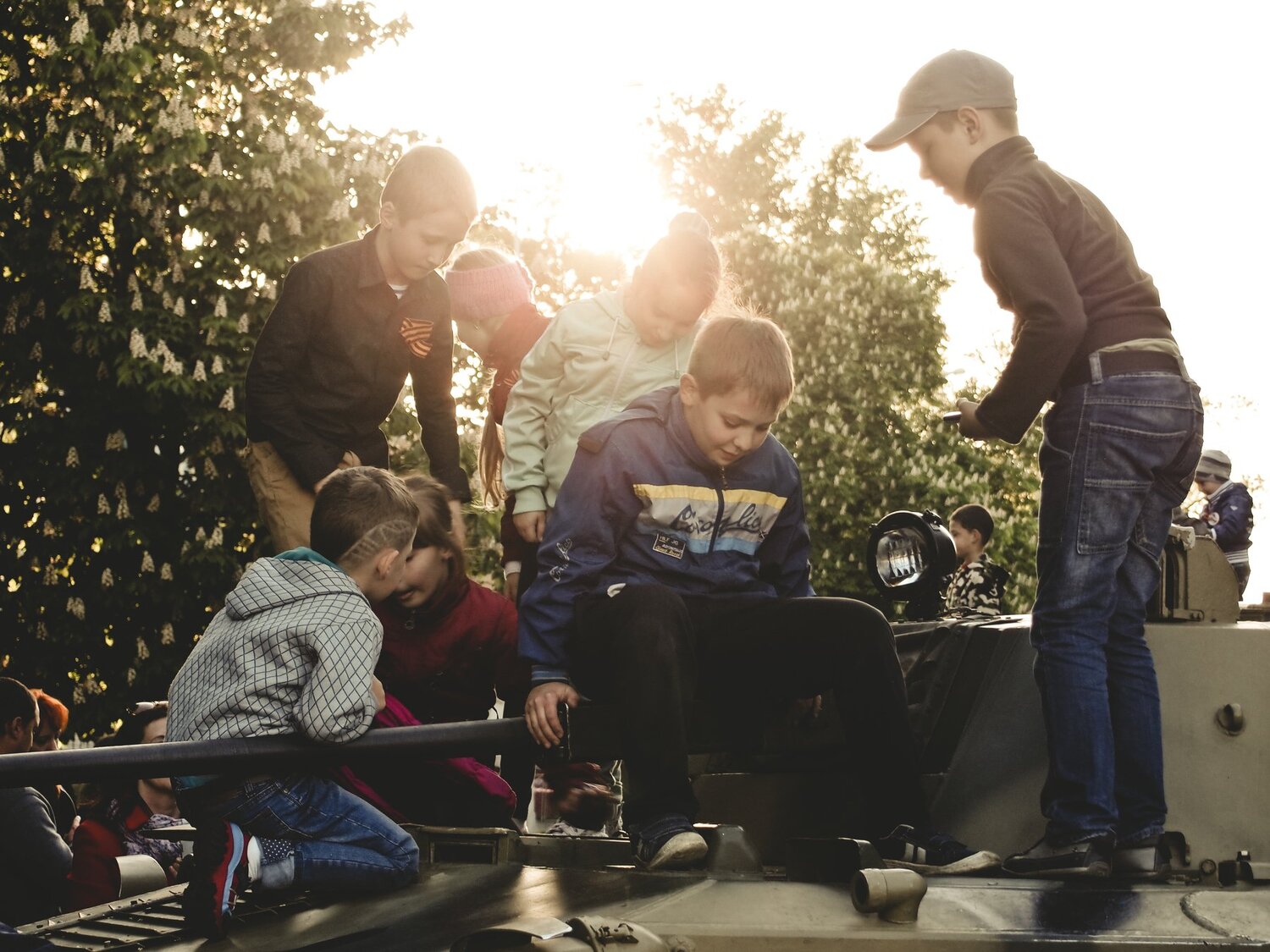 Photo #4464789