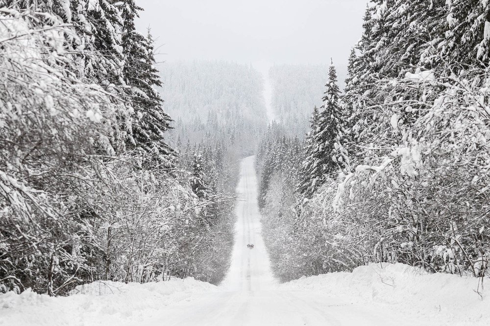 Snowy road between snowy trees.