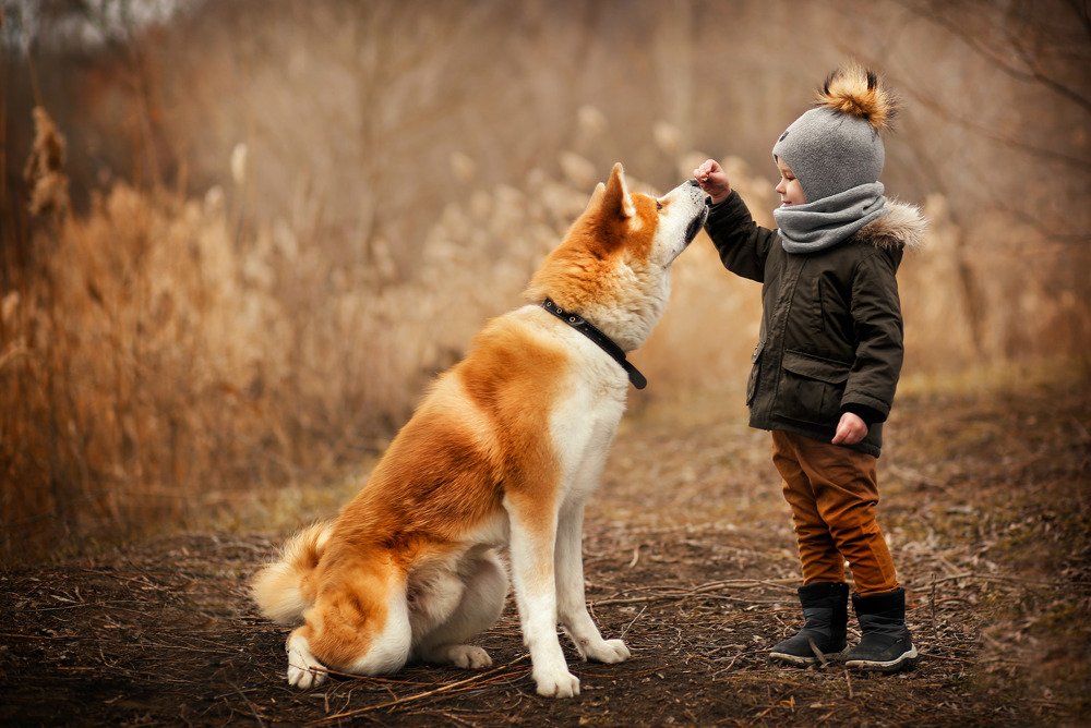 Photograph by Татьяна Бобрикова