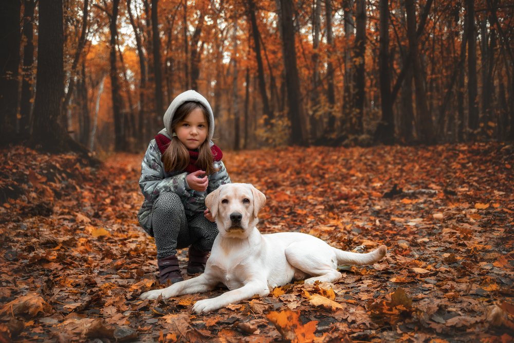 Photograph by Любовь Морец