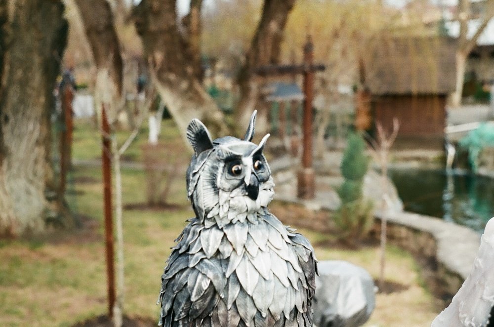 Photograph by Ольга Шевцова