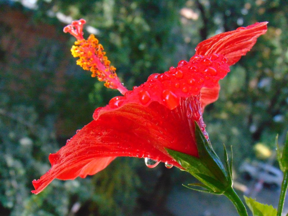 Photograph by Ольга Шевцова