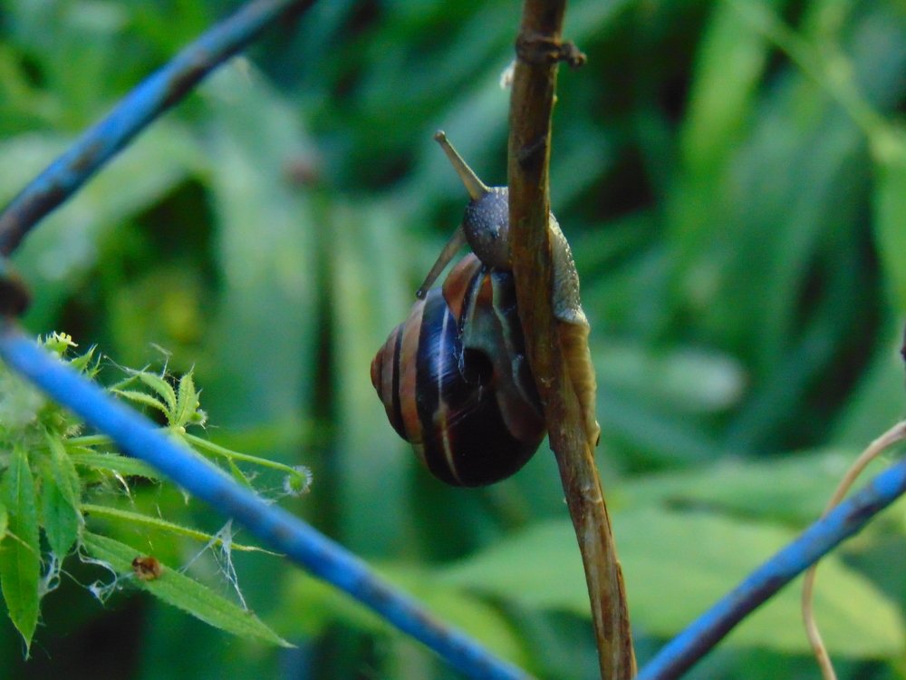 Photograph by Ольга Шевцова