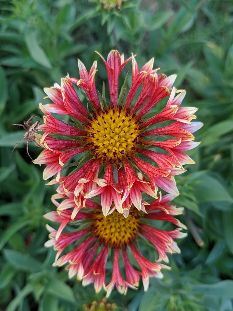 Photograph by Rajinikanth S