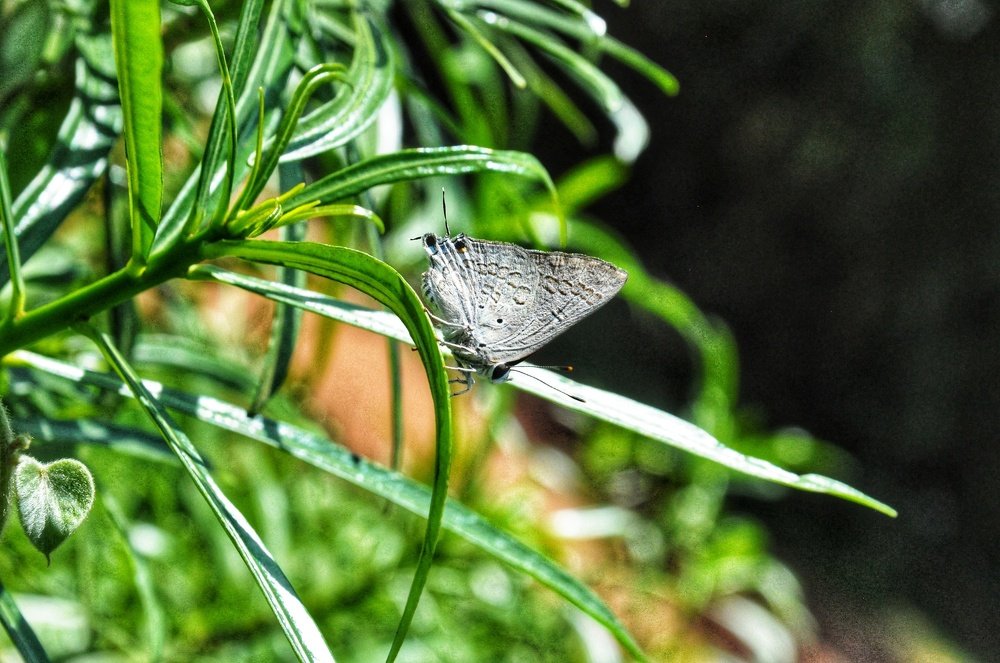 Фотография автора serubogo vicentes