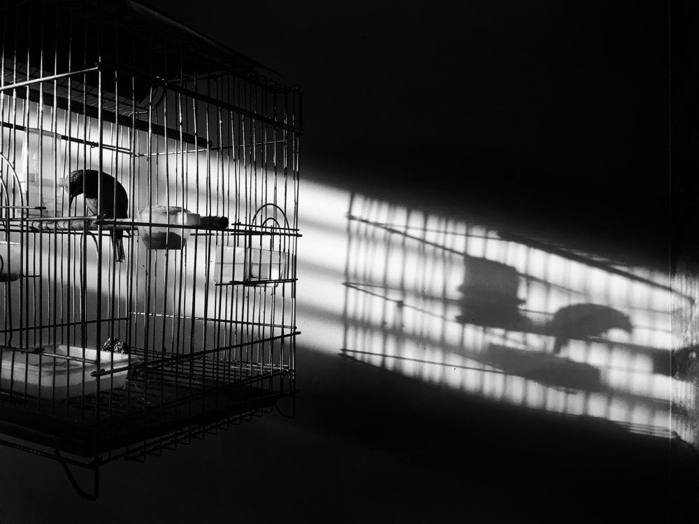 Photograph by Thien Pham