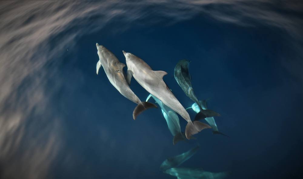 Photograph by Андрей Антонов