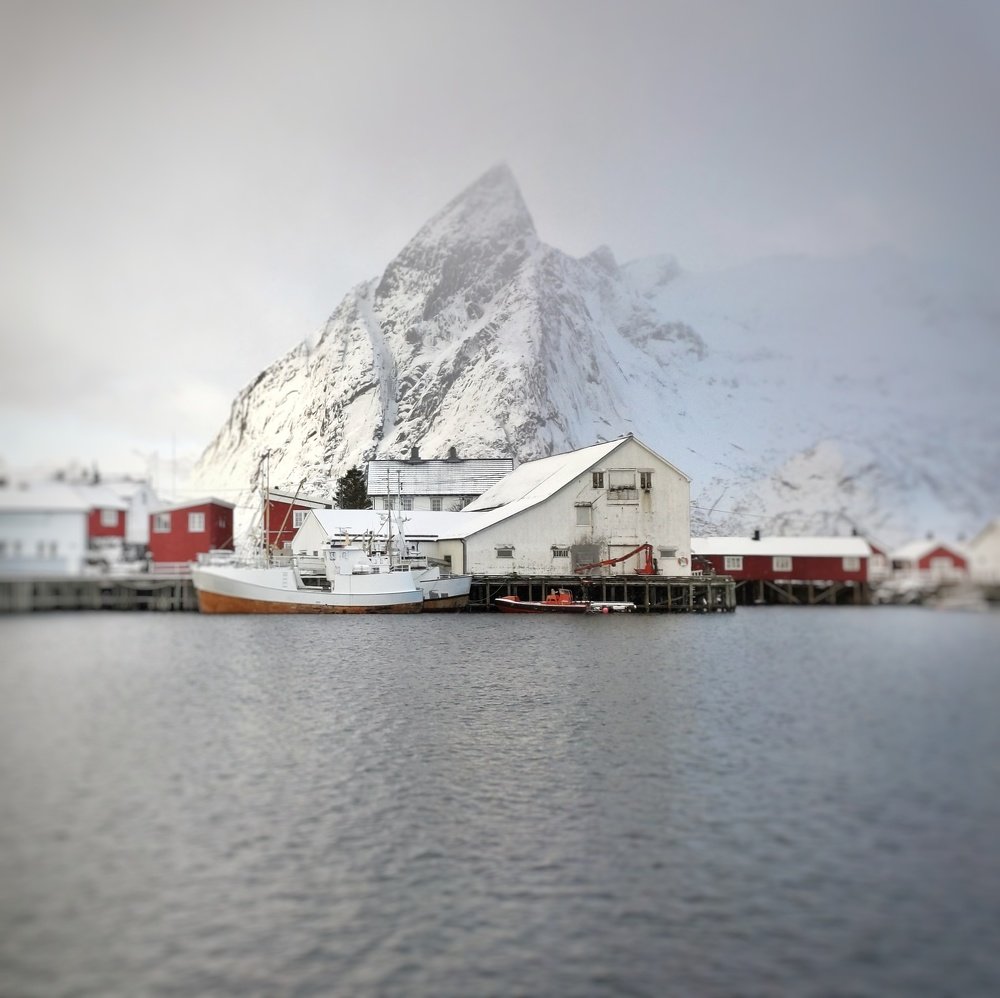 Lofoten island