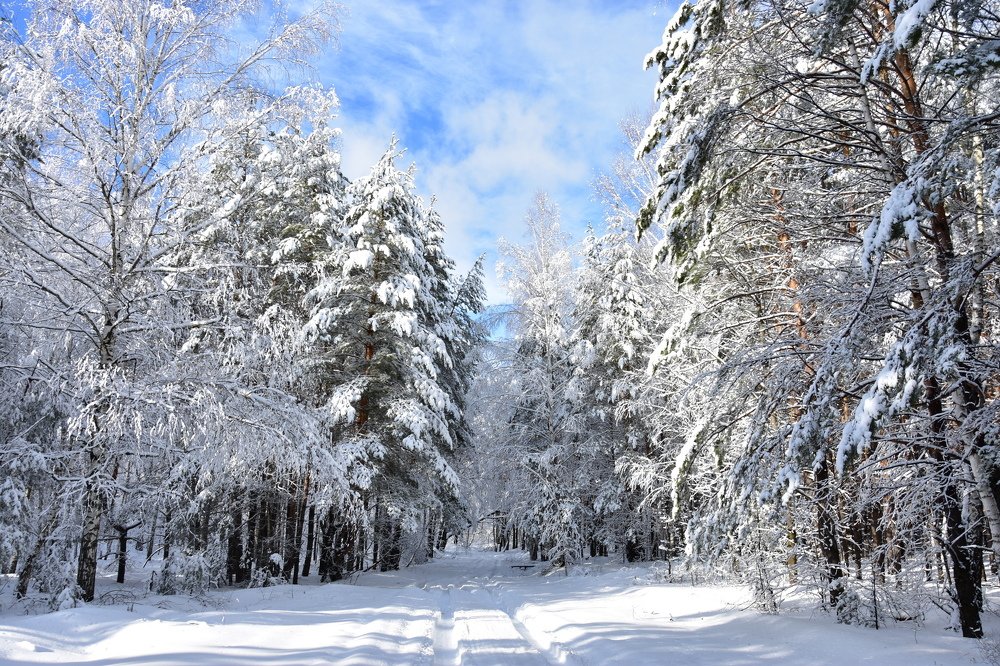 Photograph by Валерий Гудков