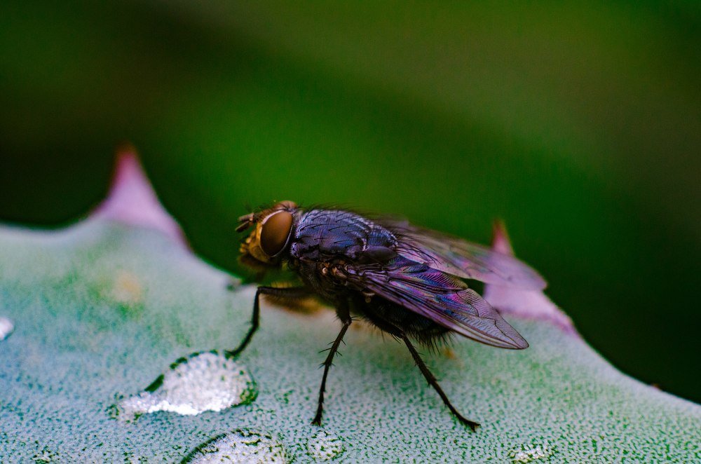 Photograph by Дарья Франкова