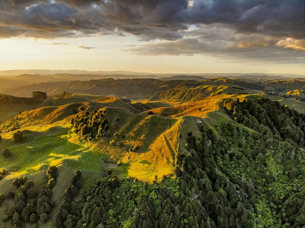 Photograph by Светлана Демина