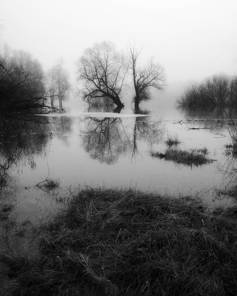 Photograph by Камила Гюндогар