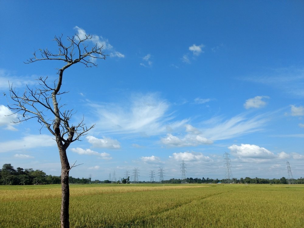 Nature photography