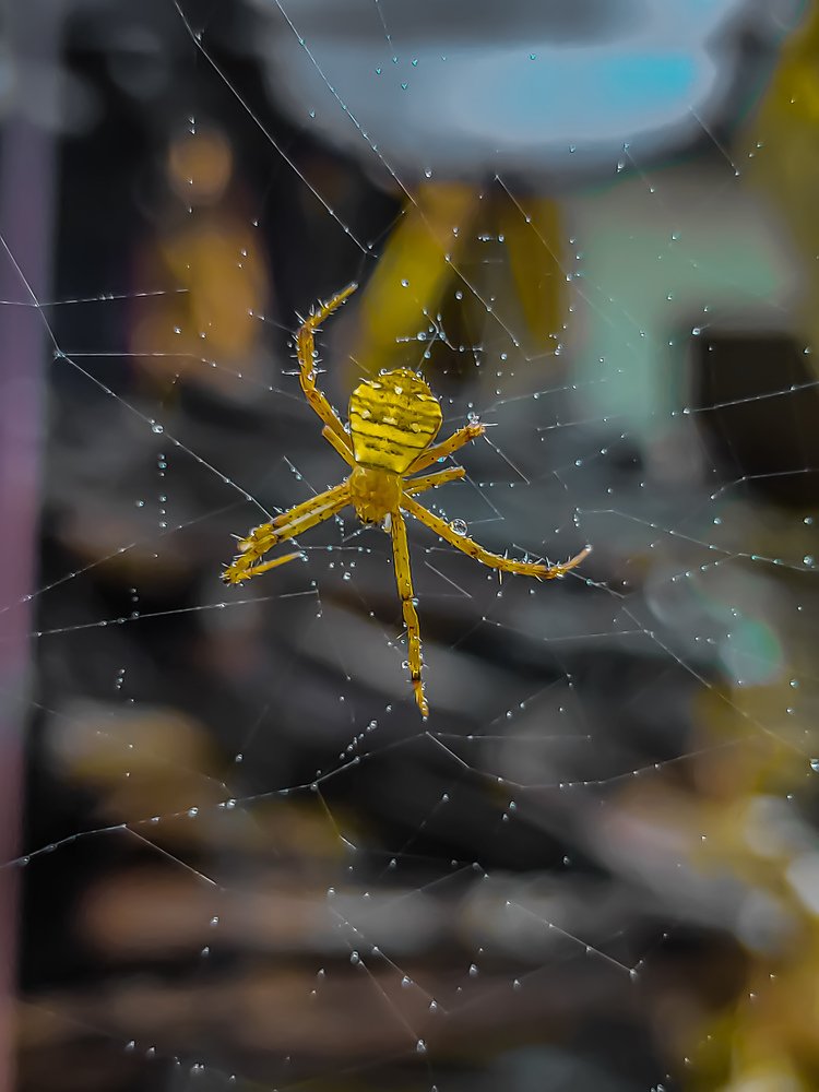 Photograph by Vimal Dev