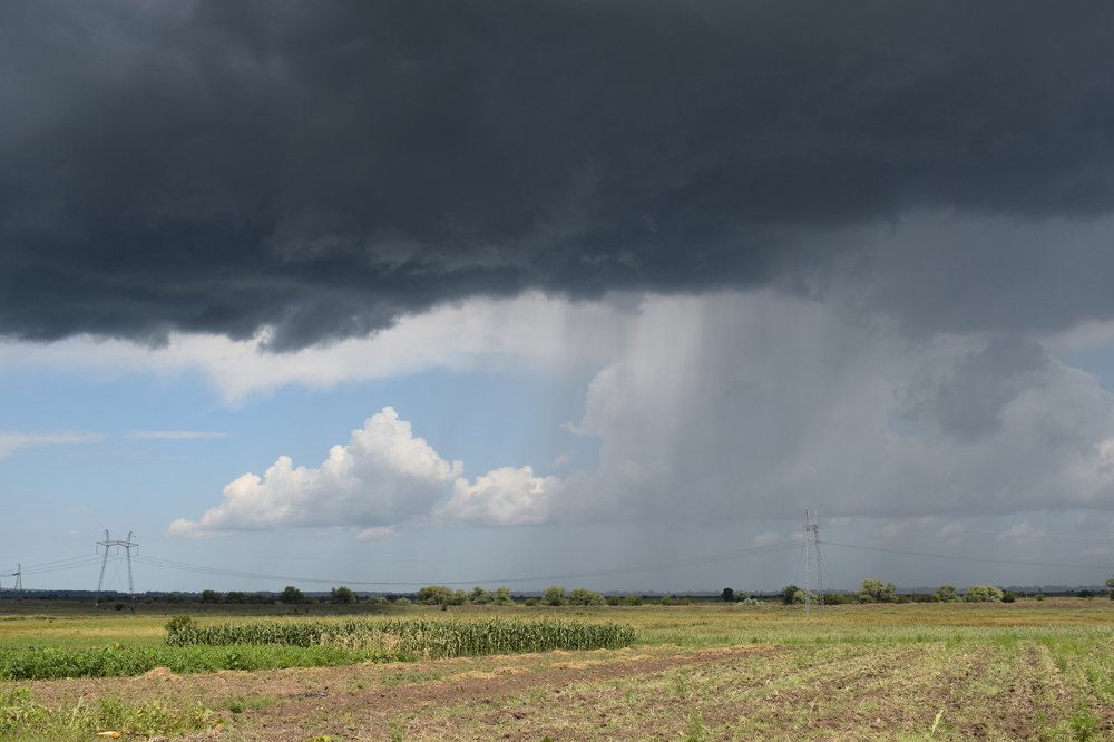 Летний дождь