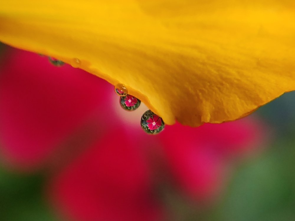 Photograph by Nawaz Shumon