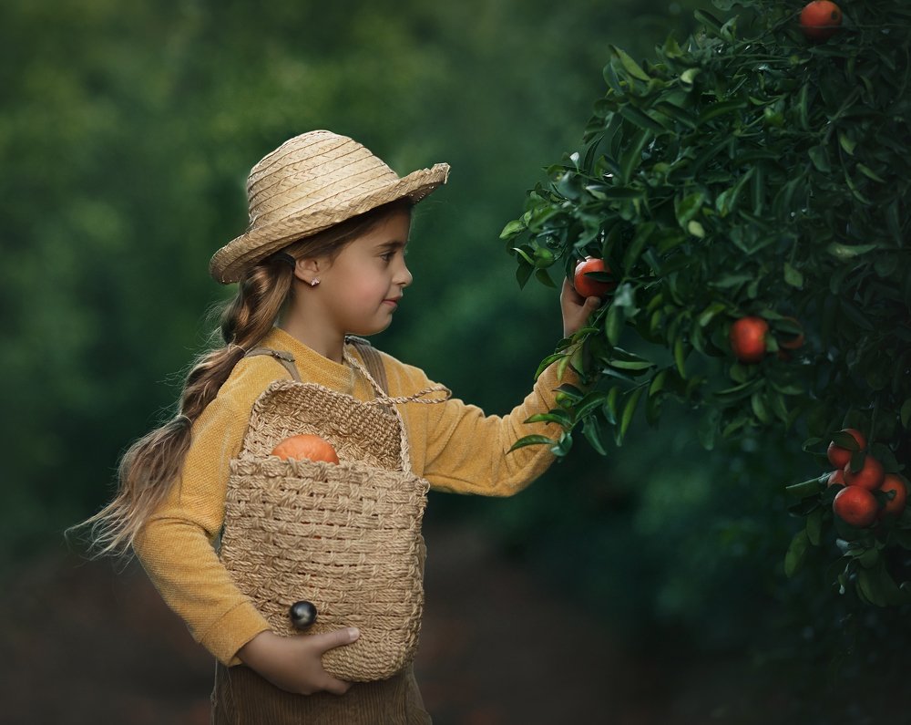 A little tangerine picker