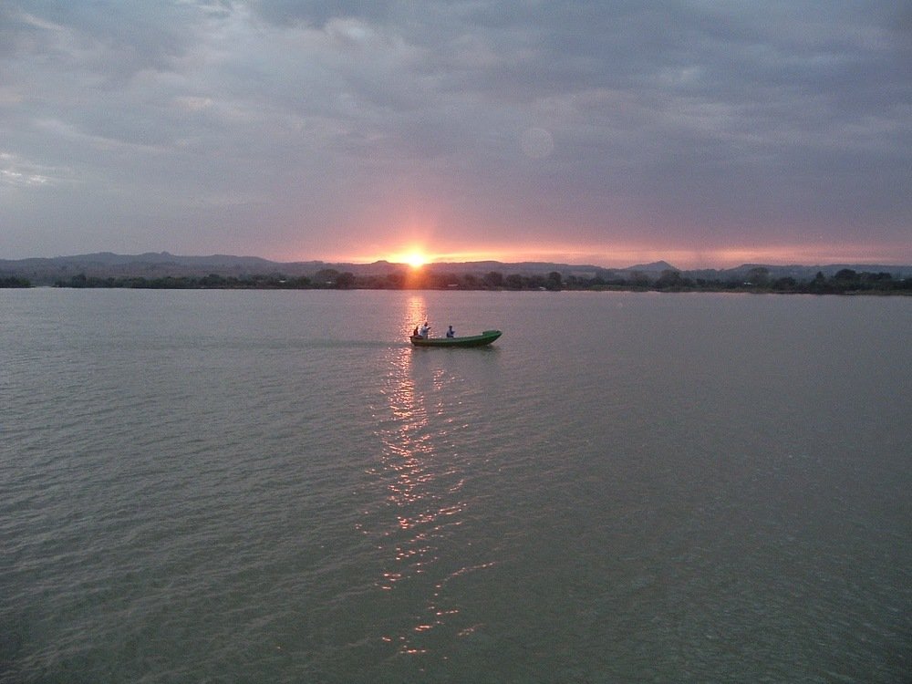 Photo #4465946