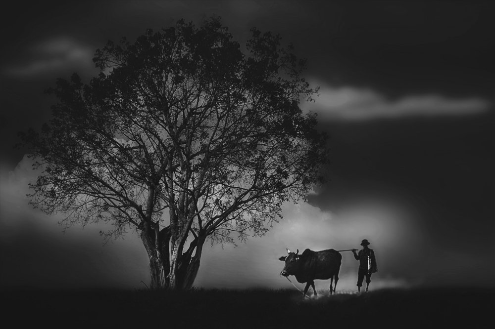 Photograph by Vy Van Bui