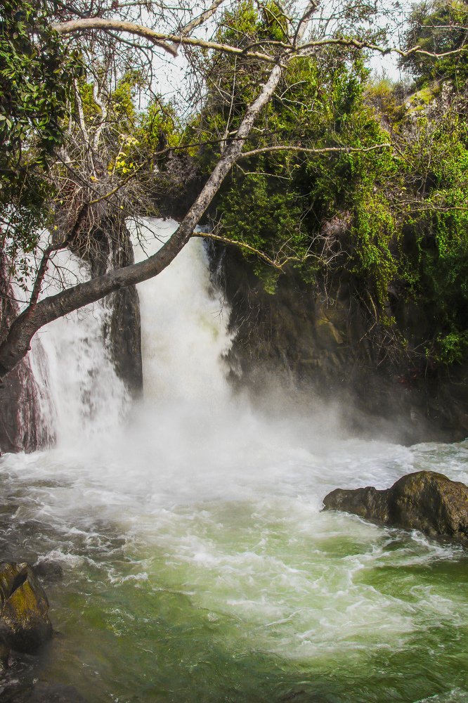 Photograph by Michael