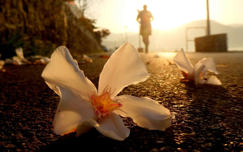 Утренняя пробежка