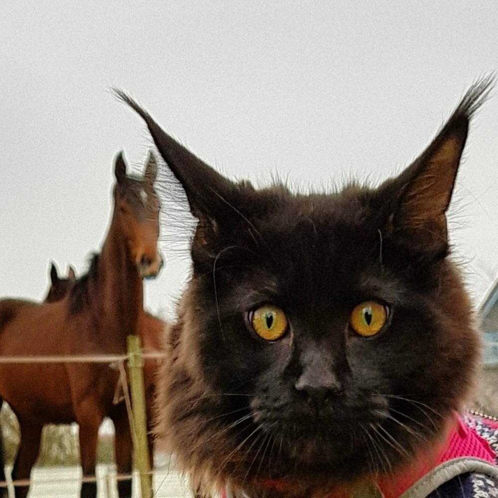 Photograph by Елена Наумова