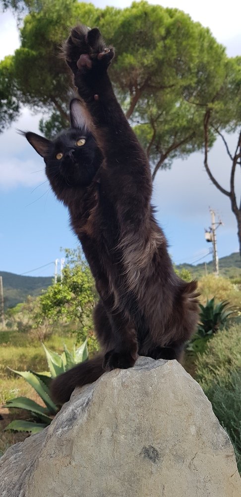 Photograph by Елена Наумова