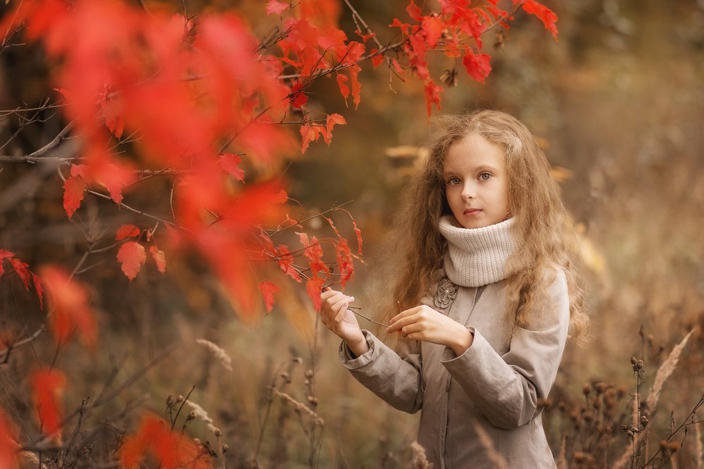 Photograph by Елена Басова