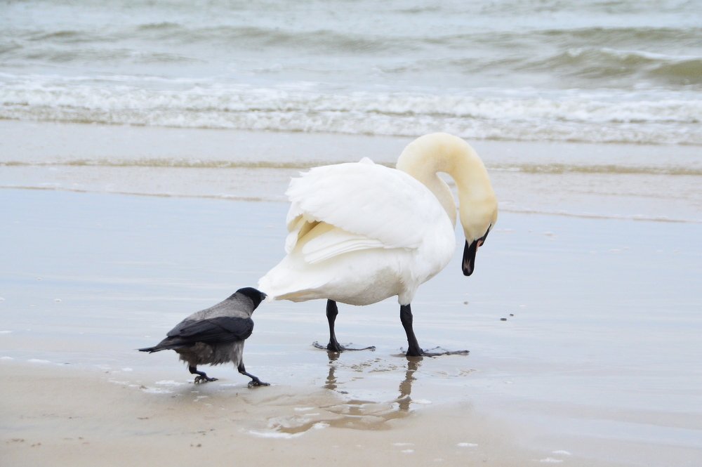 Photograph by Galina Baranovskaja