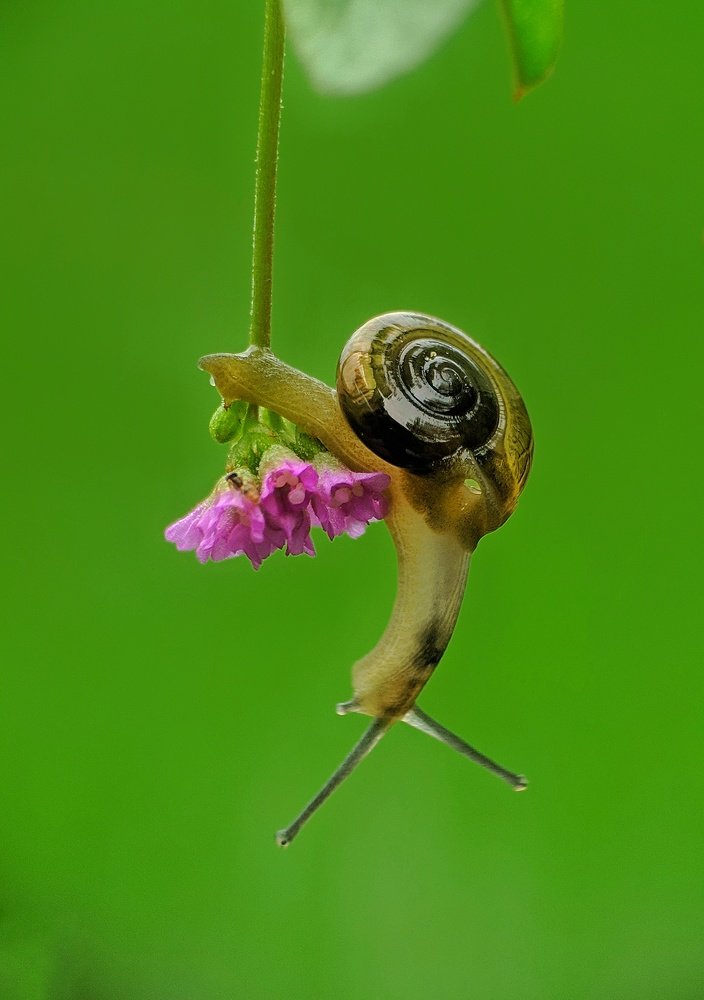 Photograph by Partha Chatterjee