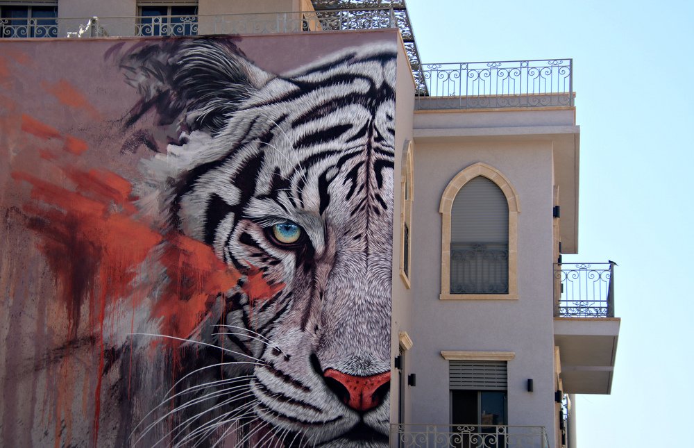 Photograph by Irina Radzinskaya