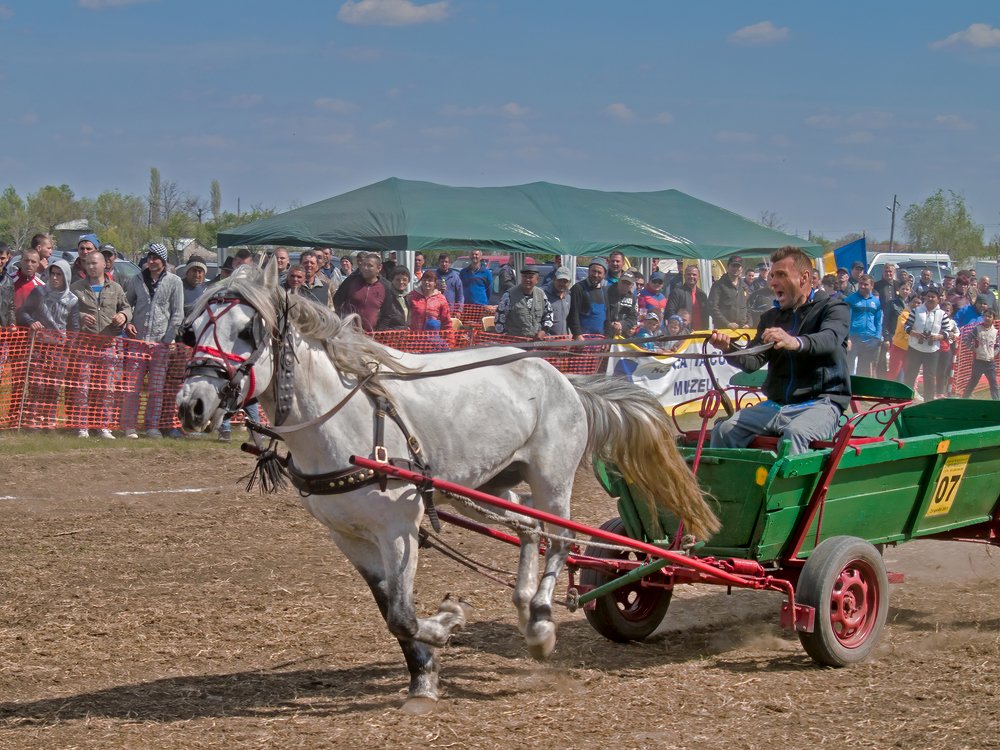 The start of the competition